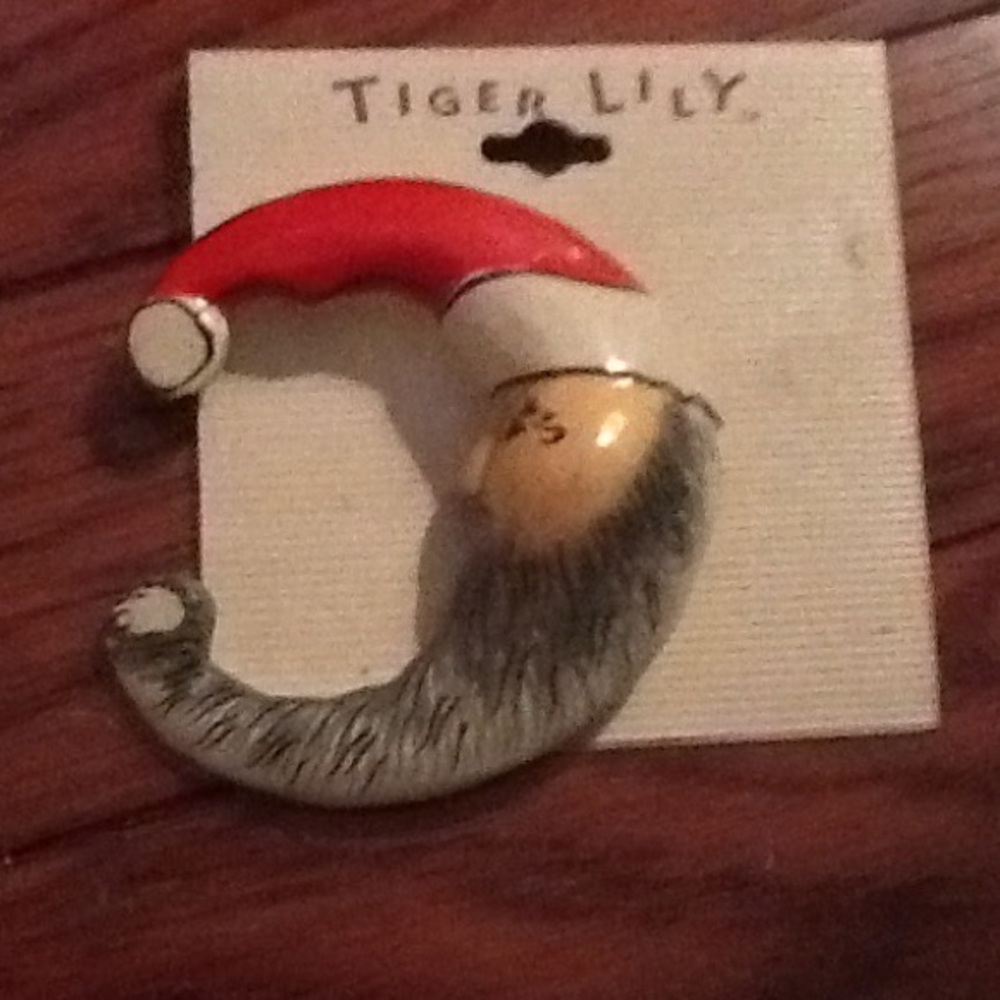 Santa pin